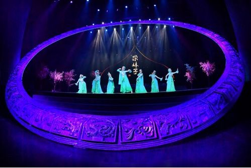 遼寧歌舞團(tuán)最新大型民族舞蹈精品晚會(huì) 舞與倫比 沈陽首演